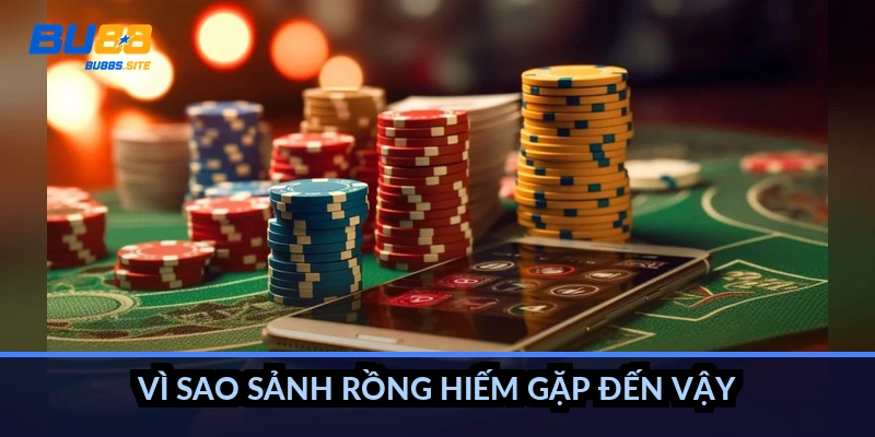 Sảnh rồng Mậu Binh là gì: Bộ 13 lá liên tiếp thắng trắng 4 Vì sao sảnh rồng hiếm gặp đến vậy?