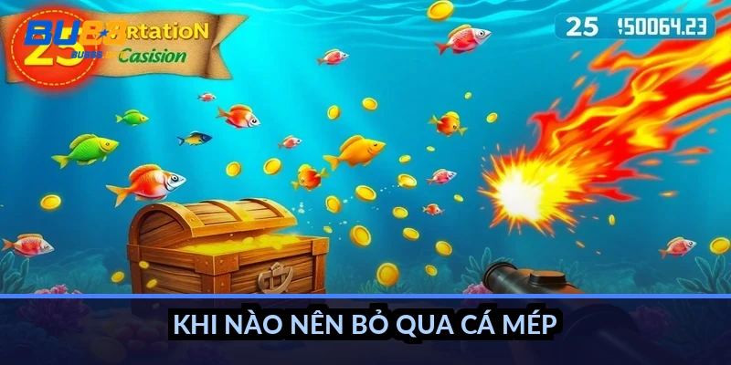 Khi nào nên bỏ qua cá mép?